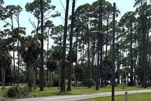 2203 Monument Ave, Port Saint Joe, FL 32456 - Photo 17