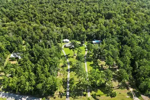 8372 NW River Rd, Bristol, FL 32321 - Photo 5