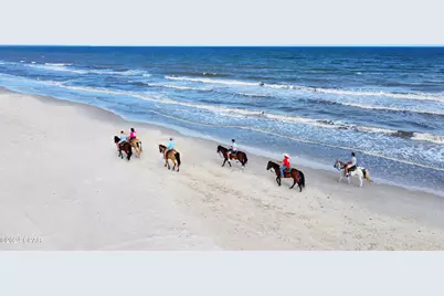 320 Moonrise Avenue, Port Saint Joe, FL 32456 - Photo 41