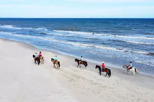 320 Moonrise Ave, Port Saint Joe, FL 32456 - Photo 41