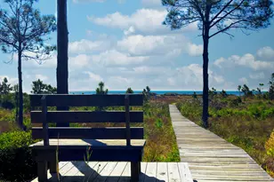 320 Moonrise Ave, Port Saint Joe, FL 32456 - Photo 29