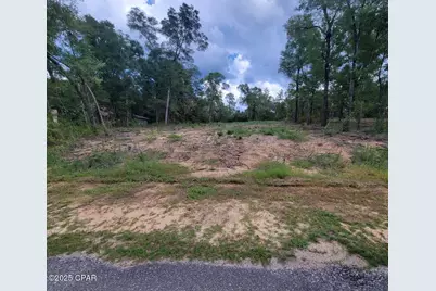 00 Paradise Lakes Road, Chipley, FL 32428 - Photo 1