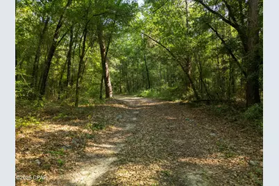 1509 Southern Way, Chipley, FL 32428 - Photo 45