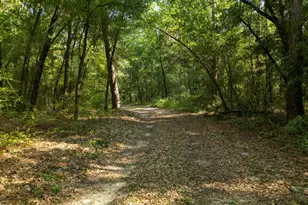 1509 Southern Way, Chipley, FL 32428 - Photo 45