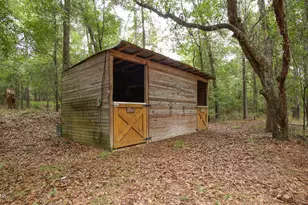 3754 Annie Rd, Marianna, FL 32446 - Photo 31