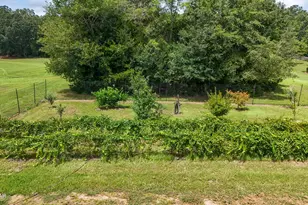 3754 Annie Rd, Marianna, FL 32446 - Photo 35