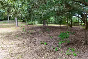 3754 Annie Rd, Marianna, FL 32446 - Photo 29