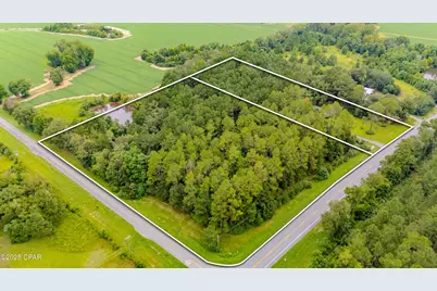 3721 Highway 77, Graceville, FL 32440 - Photo 3