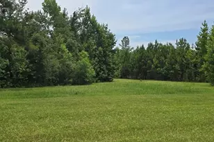 320 Freeman Rouse Rd, Wewahitchka, FL 32465 - Photo 7