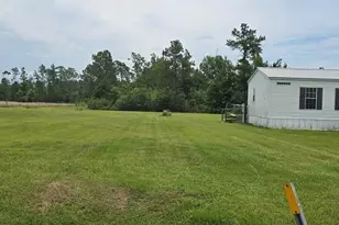 320 Freeman Rouse Rd, Wewahitchka, FL 32465 - Photo 3