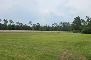 320 Freeman Rouse Rd, Wewahitchka, FL 32465 - Photo 23