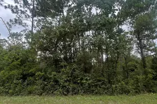 0 Brandon Rd, Fountain, FL 32438 - Photo 1