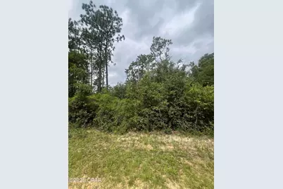 0 Brandon Road, Fountain, FL 32438 - Photo 5