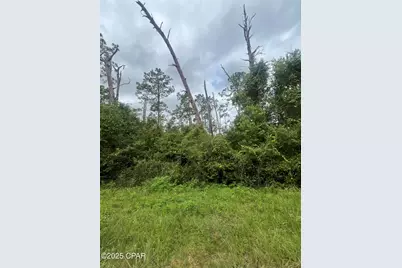 0 Brandon Road, Fountain, FL 32438 - Photo 7