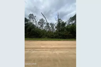 0 Brandon Road, Fountain, FL 32438 - Photo 3