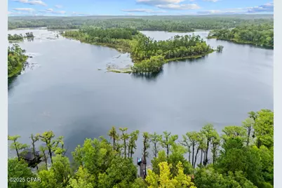 2942 Paradise Lakes Road, Chipley, FL 32428 - Photo 5