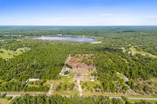 6807 NW Porter Grade Rd, Altha, FL 32421 - Photo 39