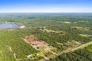 6807 NW Porter Grade Rd, Altha, FL 32421 - Photo 81