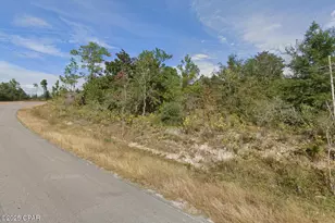 Tbd Orange Hill, Chipley, FL 32428 - Photo 1