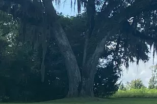 1386 Parker Rd, Grand Ridge, FL 32442 - Photo 1