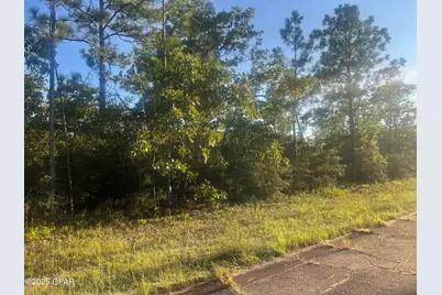 0000 Kelvin Street, Chipley, FL 32428 - Photo 1