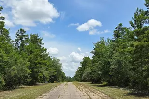 Lot 9 Jamaica Circle, Chipley, FL 32428 - Photo 1