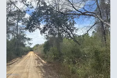 Tract#6301 W Love Road, Bonifay, FL 32425 - Photo 1