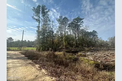 Tract 6331 Sellers Road, Bonifay, FL 32425 - Photo 5