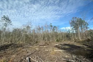 Tract 6331 Sellers Rd, Bonifay, FL 32425 - Photo 1