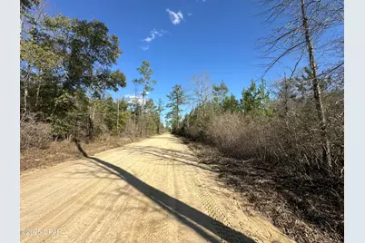 Tract#6317 Harris Stevenson Road, Bonifay, FL 32425 - Photo 15