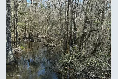 Tract#6317 Harris Stevenson Road, Bonifay, FL 32425 - Photo 13