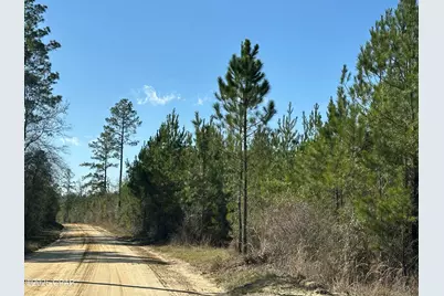 Tract#6317 Harris Stevenson Road, Bonifay, FL 32425 - Photo 9
