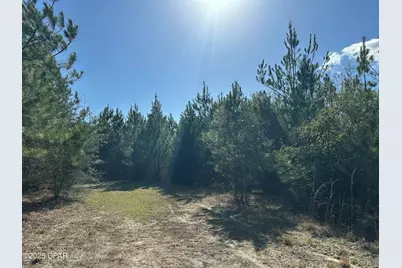 Tract#6317 Harris Stevenson Road, Bonifay, FL 32425 - Photo 5