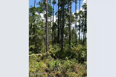 0 Timbercrest Road, Fountain, FL 32438 - Photo 7