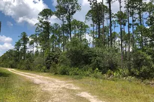 0 Timbercrest Rd, Fountain, FL 32438 - Photo 1
