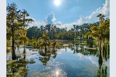 5101 Lake Bluff Circle, Marianna, FL 32446 - Photo 39