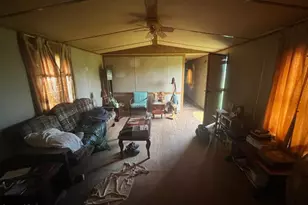 195 Timberlane Rd, Wewahitchka, FL 32465 - Photo 5