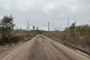 Tract#6402 N Chance Rd, Chipley, FL 32428 - Photo 1