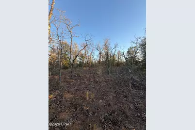 Lot 15 Trellis Drive, Chipley, FL 32428 - Photo 9