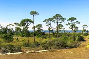 204 Pond Cypress Cv, Port Saint Joe, FL 32456 - Photo 3