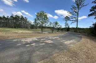 Tract#6416 Brock Rd, Caryville, FL 32427 - Photo 1