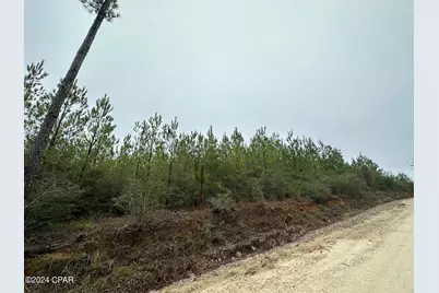 Tract 6418 N Mattox Springs Road #1, Caryville, FL 32427 - Photo 1