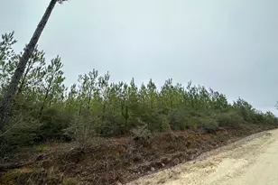 Tract 6418 N Mattox Springs Rd, Caryville, FL 32427 - Photo 1