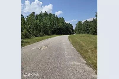 00 Flagler Drive, Chipley, FL 32428 - Photo 3