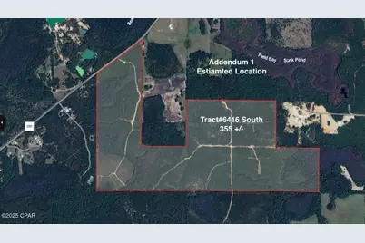 Tract#6416 S Douglas Ferry Road, Caryville, FL 32427 - Photo 3