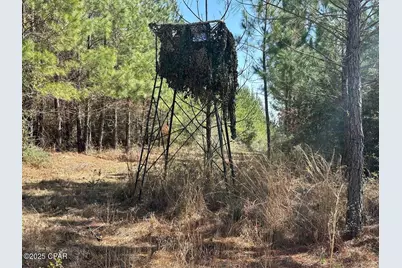 Tract#6416 S Douglas Ferry Road, Caryville, FL 32427 - Photo 11