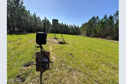 Tract#6416 S Douglas Ferry Road, Caryville, FL 32427 - Photo 13