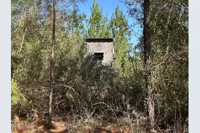 Tract#6416 S Douglas Ferry Road, Caryville, FL 32427 - Photo 9