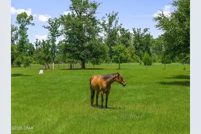 13935 Blue Springs Road, Youngstown, FL 32466 - Photo 119