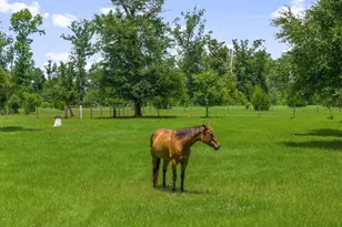 13935 Blue Springs Rd, Youngstown, FL 32466 - Photo 119